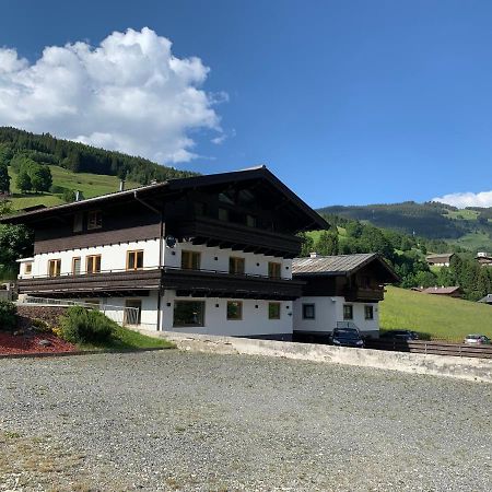 Glemm Lodge Apartments - Joker Card Im Sommer Inklusive Saalbach-Hinterglemm Dış mekan fotoğraf